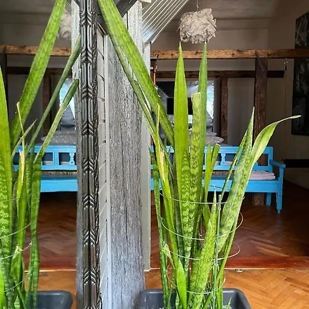 Apartment Pe Doua Niveluri In Centrul Clujului