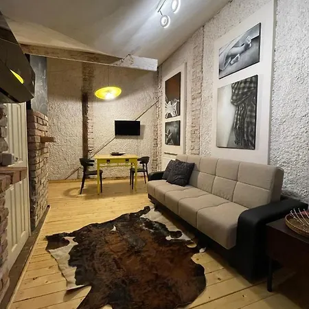 Apartment Pe Doua Niveluri In Centrul Clujului *